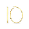 Noa Serane Hoop Earrings | Gold